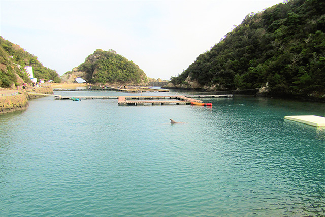 太地町立くじらの博物館(和歌山県)