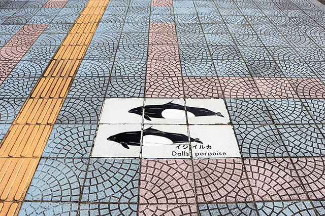 歩道にもクジラやイルカがいるよ/太地町立くじらの博物館(和歌山県)