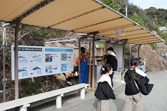 イベント受付場所/太地町立くじらの博物館(和歌山県)