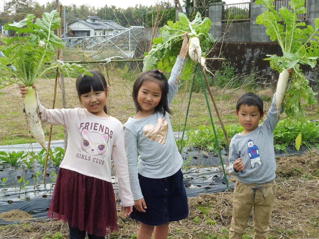 宮崎で体験する癒しの農泊スポット!親子で豊かな時間を過ごそう