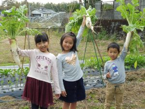 子連れの旅行 おでかけ応援サイト るるぶkids 子連れの旅行 おでかけ応援サイト るるぶkids