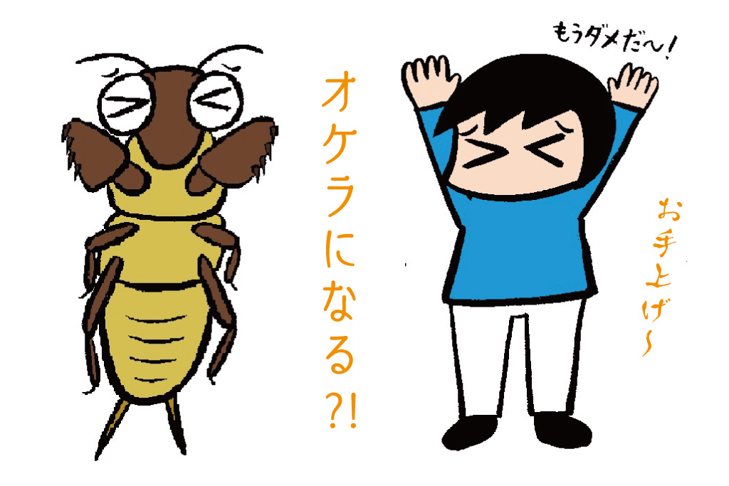 「オケラになる」の意味は?
