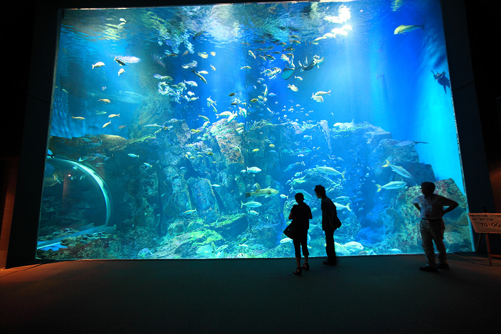 男鹿水族館GAO(おがすいぞくかんガオ)(秋田県/男鹿市)