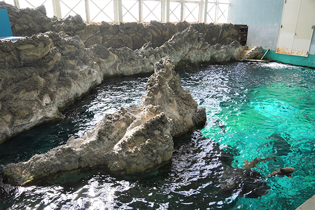 上から見る「波の大水槽」/須磨海浜水族園(兵庫県/神戸市)