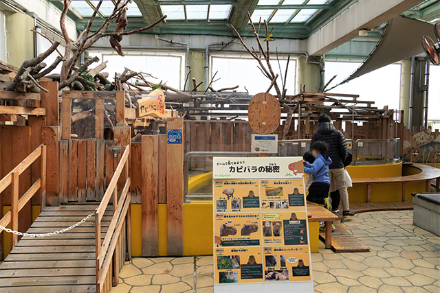 「カピバラの秘密」ボード/須磨海浜水族園(兵庫県/神戸市)