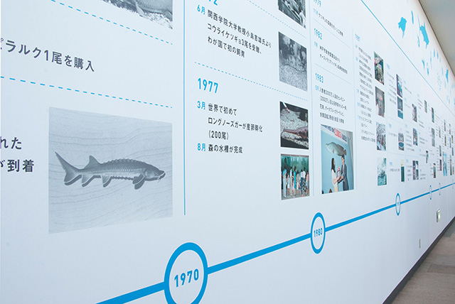 スマスイの歴史年表/須磨海浜水族園(兵庫県/神戸市)