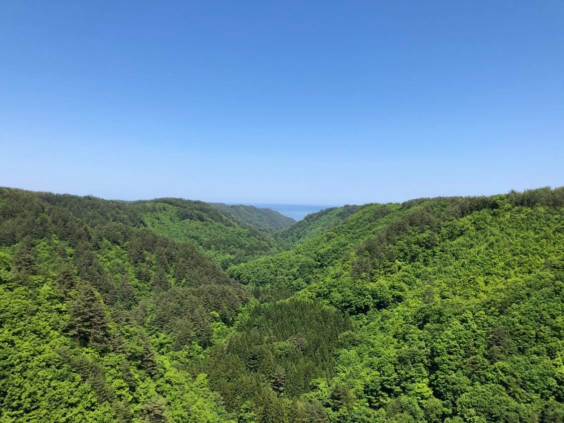 岩手県/田野畑村の山々
