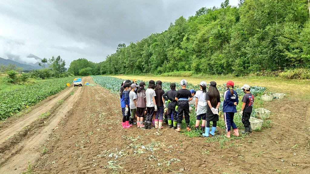 「えづらファーム」で農業体験をする小学生/移住インタビュー(北海道/遠軽町)