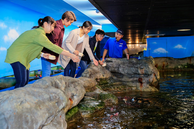 エコアクアロームの展示施設裏でお魚の食事タイムをお手伝い/鴨川シーワールド(千葉県/鴨川市)