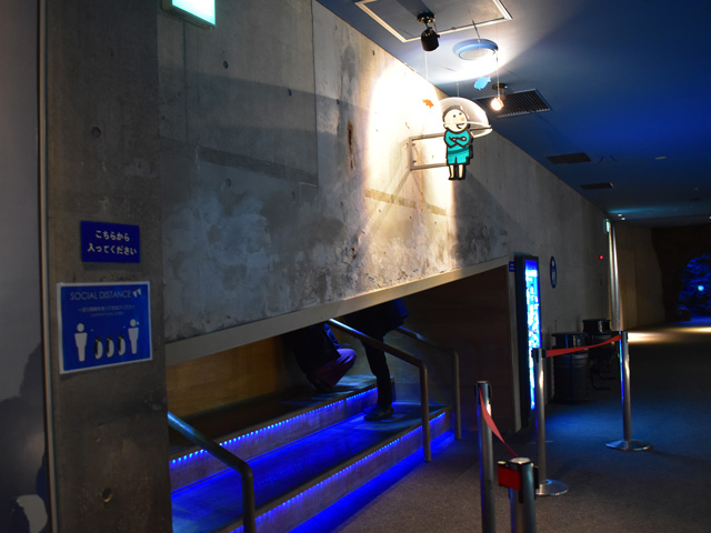下から水槽を見上げることができる専用エリア/鴨川シーワールド(千葉県/鴨川市)