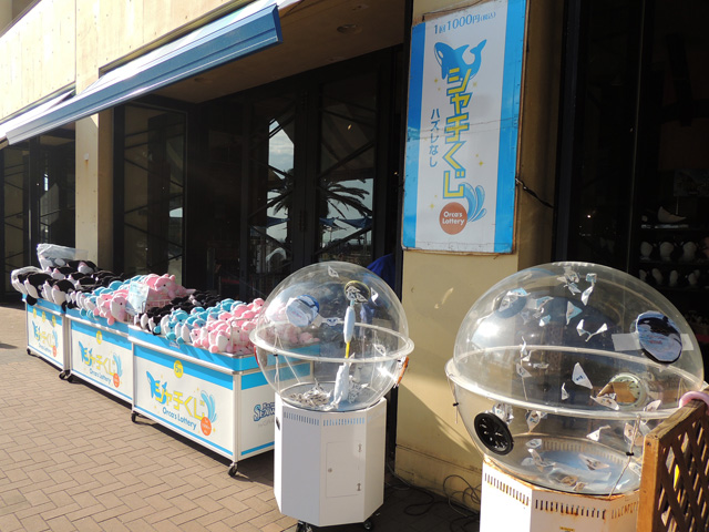ハズレがないシャチくじ/鴨川シーワールド(千葉県/鴨川市)