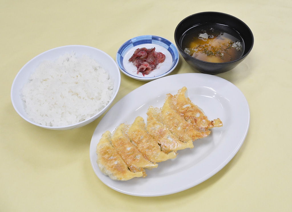 豚嘻嘻のとんきっき肉シングル焼餃子定食/上河内SA【下り】(栃木県/宇都宮市)