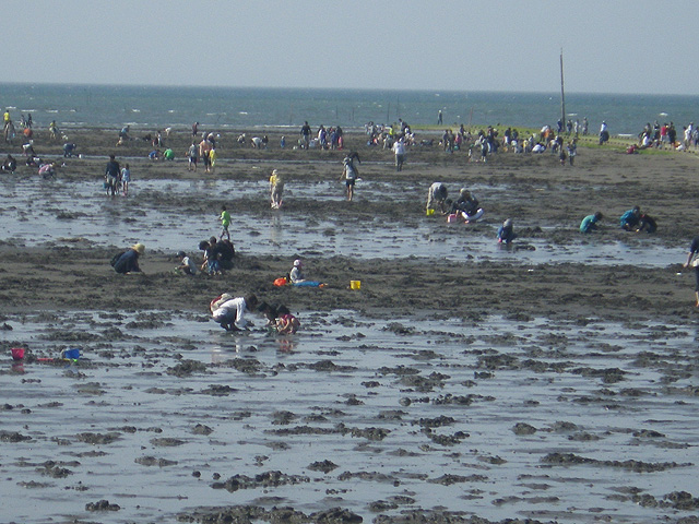 和間海浜公園(大分県/宇佐市)