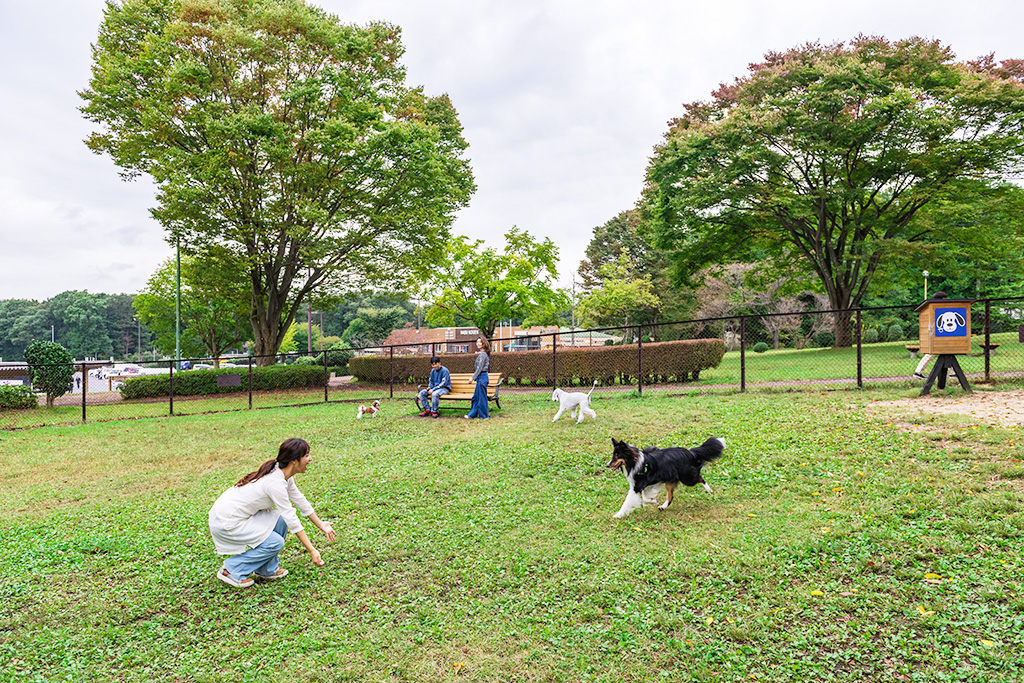 大規模ドッグランと緑地/那須高原SA【下り】(栃木県/那須町)
