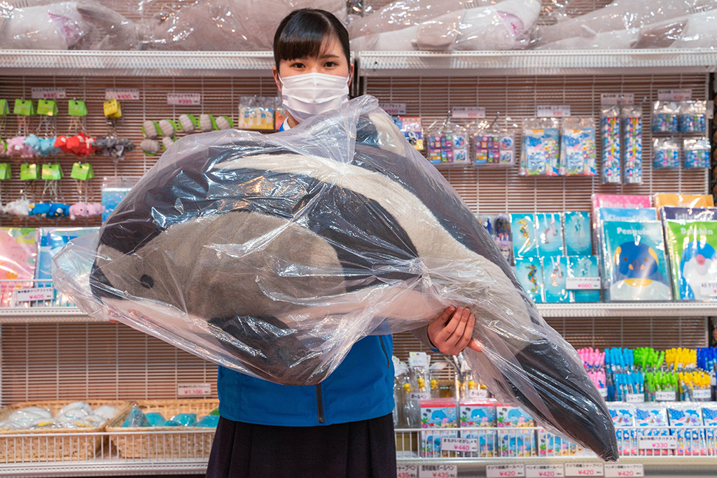 オリジナルグッズ「カマイルカぬいぐるみ」/城崎マリンワールド(兵庫県/豊岡市)