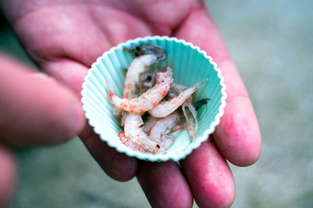 アジ釣りのエサ/城崎マリンワールド(兵庫県/豊岡市)