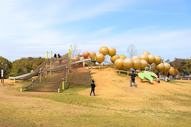 ぶどうの遊具/道の駅 四季の郷公園 FOOD HUNTER PARK(和歌山県/和歌山市)