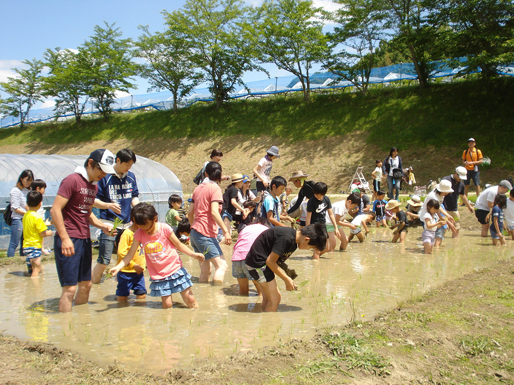 「富田林市農業公園サバーファーム」(大阪府/富田林市)