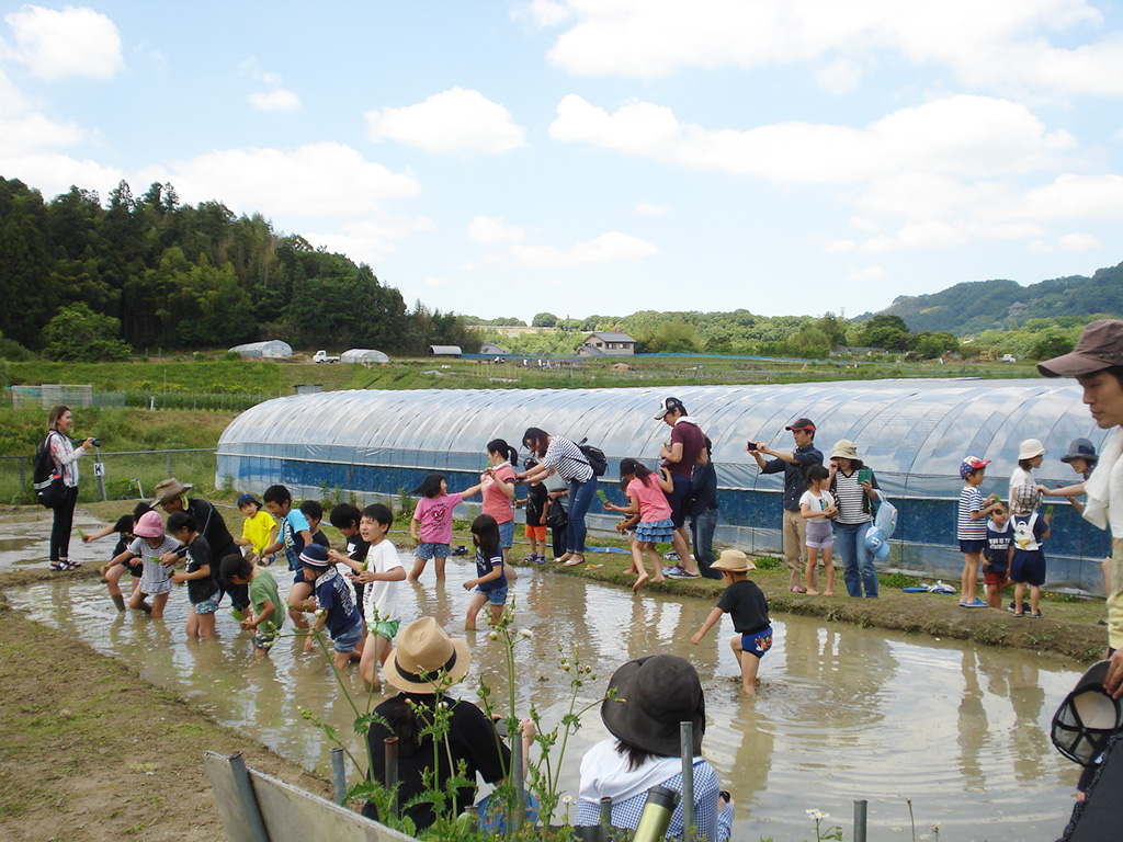「富田林市農業公園サバーファーム」(大阪府/富田林市)