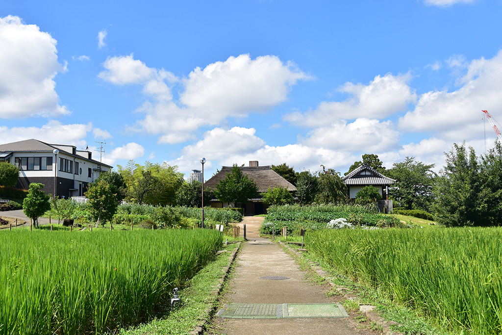 豊富な農業体験「足立区都市農業公園」(東京都/足立区)