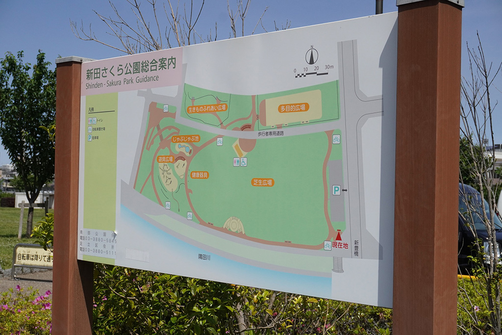 パークマップ/新田さくら公園(東京都/足立区)