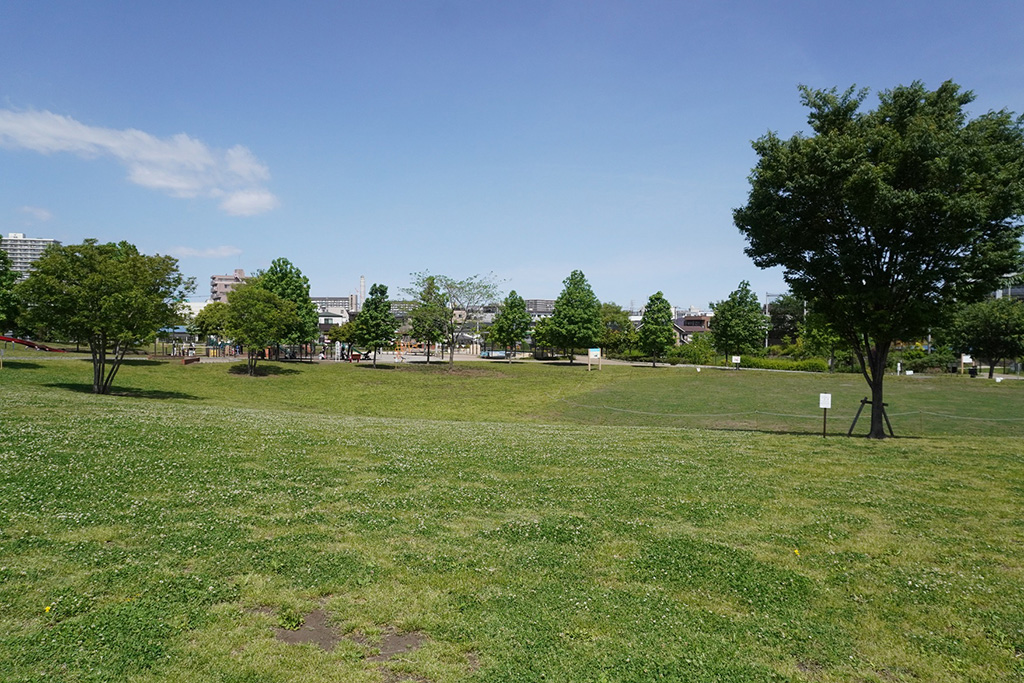芝生広/新田さくら公園(東京都/足立区)