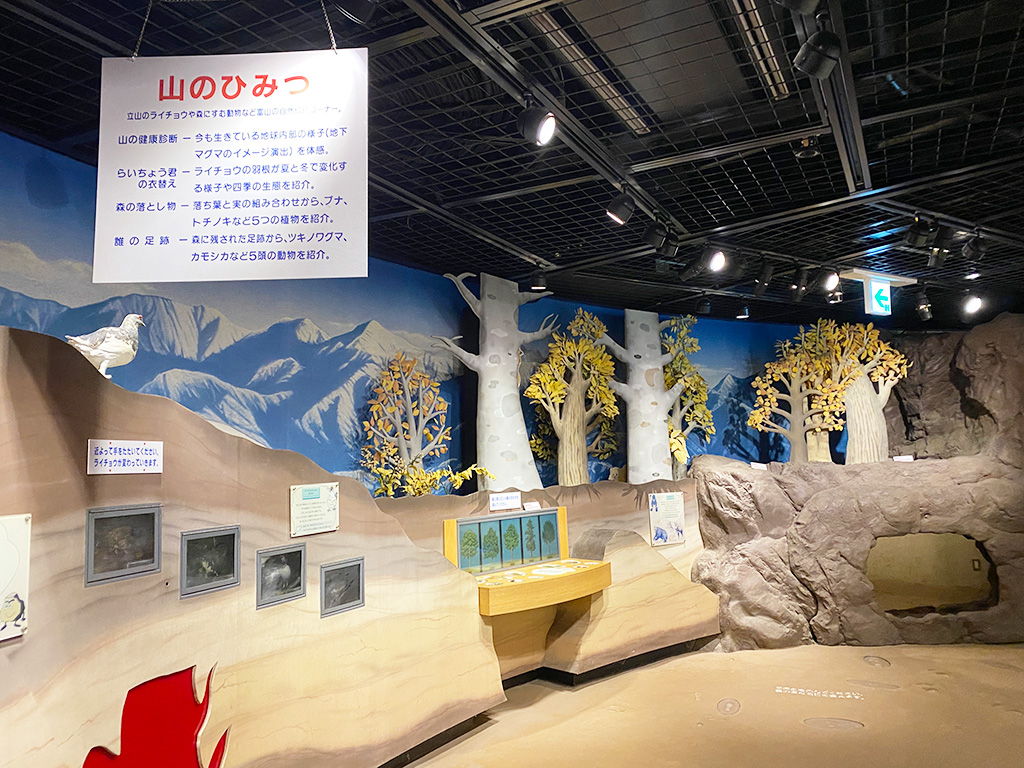 地下回廊/高岡おとぎの森公園 おとぎの森館(富山県/高岡市)