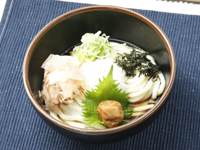 梅おろしぶっかけうどん/笠間PA【東行き/西行き】