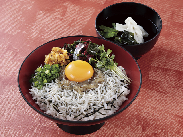 湘南漬しらすと釜揚げしらすの二色丼/大磯PA【上り】(神奈川県/中郡大磯町)