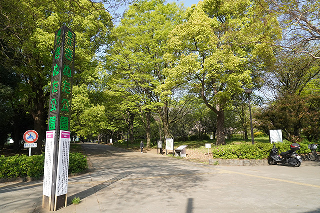 都立砧公園(東京都/世田谷区)