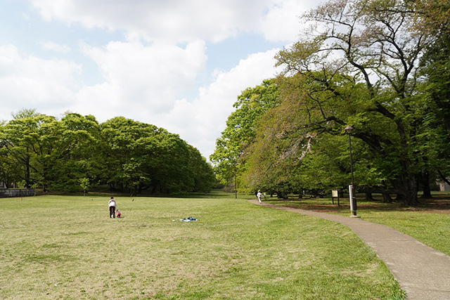 「みんなのひろば」/都立砧公園(東京都/世田谷区)