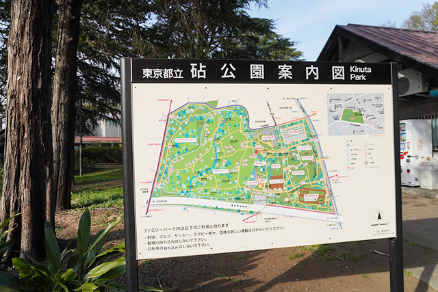 公園案内図/都立砧公園(東京都/世田谷区)