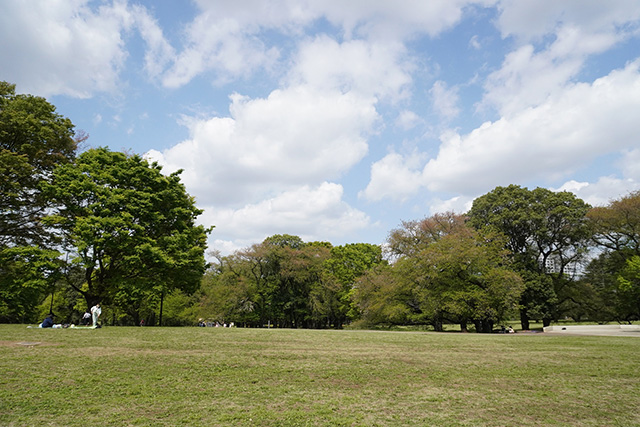 ファミリーパーク/都立砧公園(東京都/世田谷区)