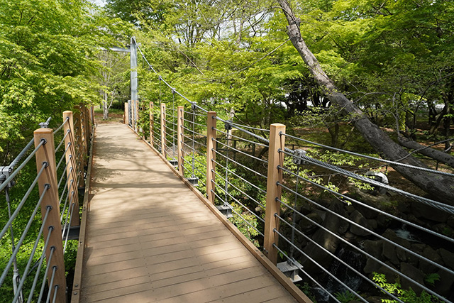 ファミリーパークのつり橋/都立砧公園(東京都/世田谷区)