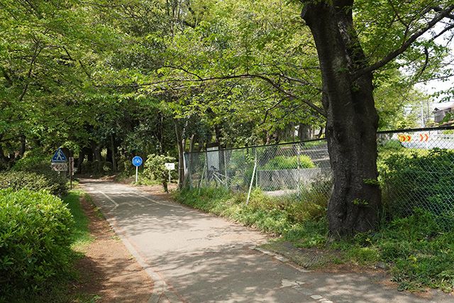 サイクリングコース/都立砧公園(東京都/世田谷区)