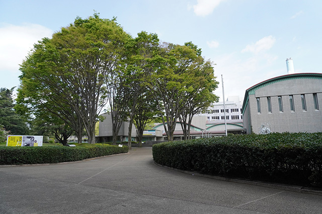 世田谷美術館/都立砧公園(東京都/世田谷区)