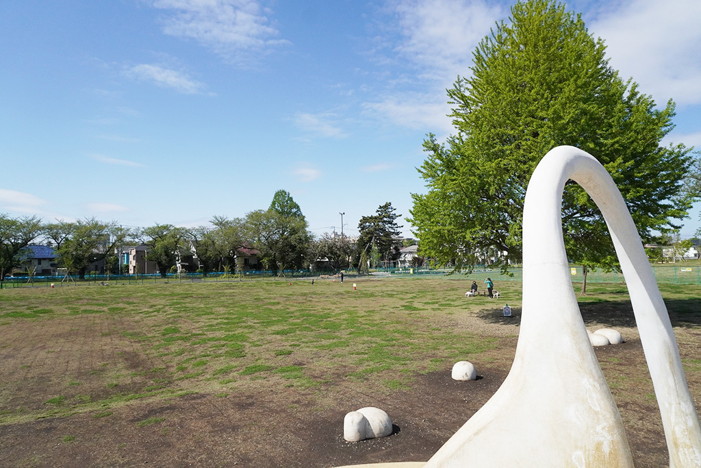 都立高井戸公園(東京都/杉並区)