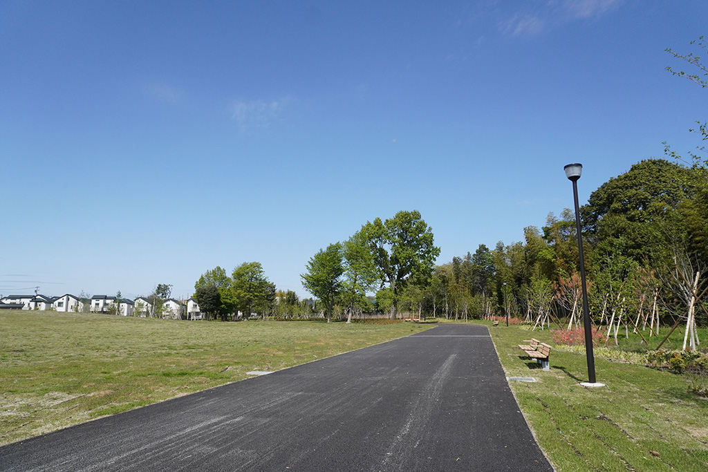 バリアフリーの園路/都立高井戸公園(東京都/杉並区)