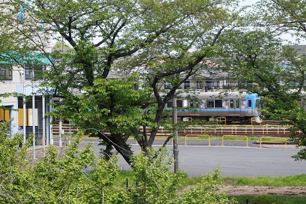 フェンス越しに見える井の頭線/都立高井戸公園(東京都/杉並区)