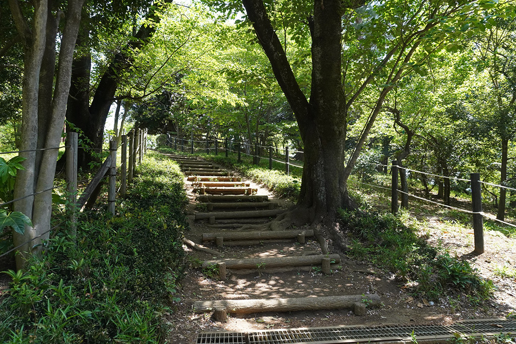 羽根木公園(東京都/世田谷区)