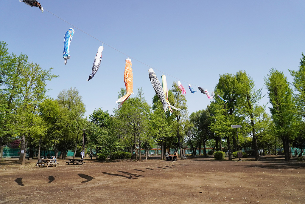 樹木広場のこいのぼり/羽根木公園(東京都/世田谷区)