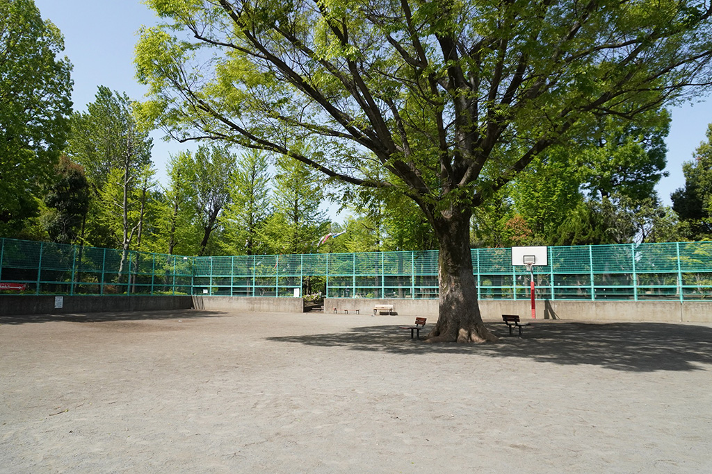 球戯広場/羽根木公園(東京都/世田谷区)