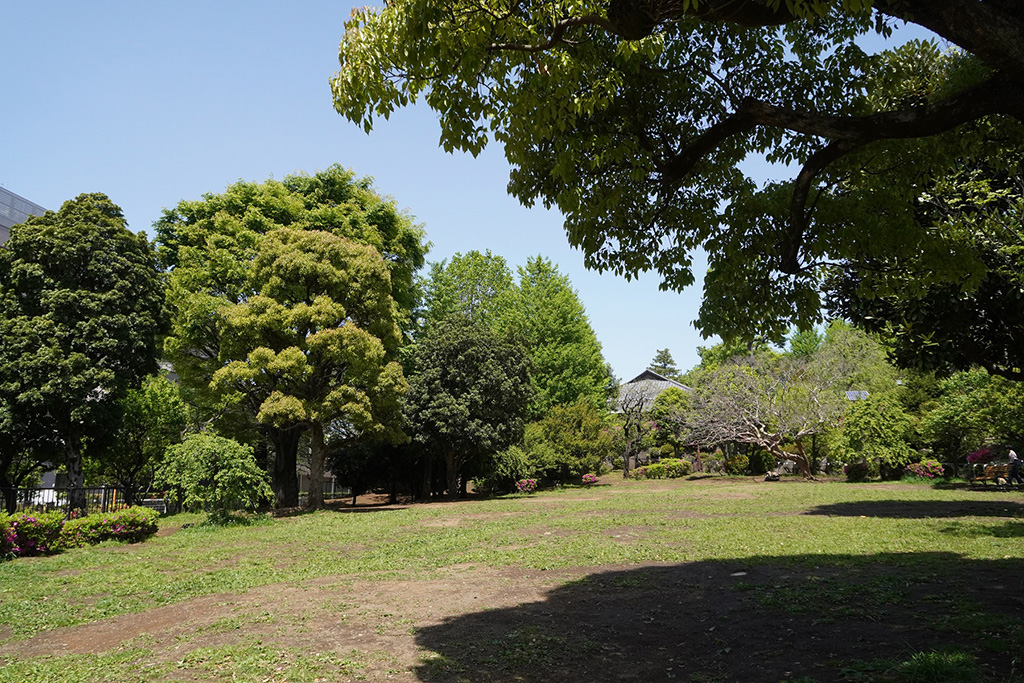 はらっぱ広場/羽根木公園(東京都/世田谷区)