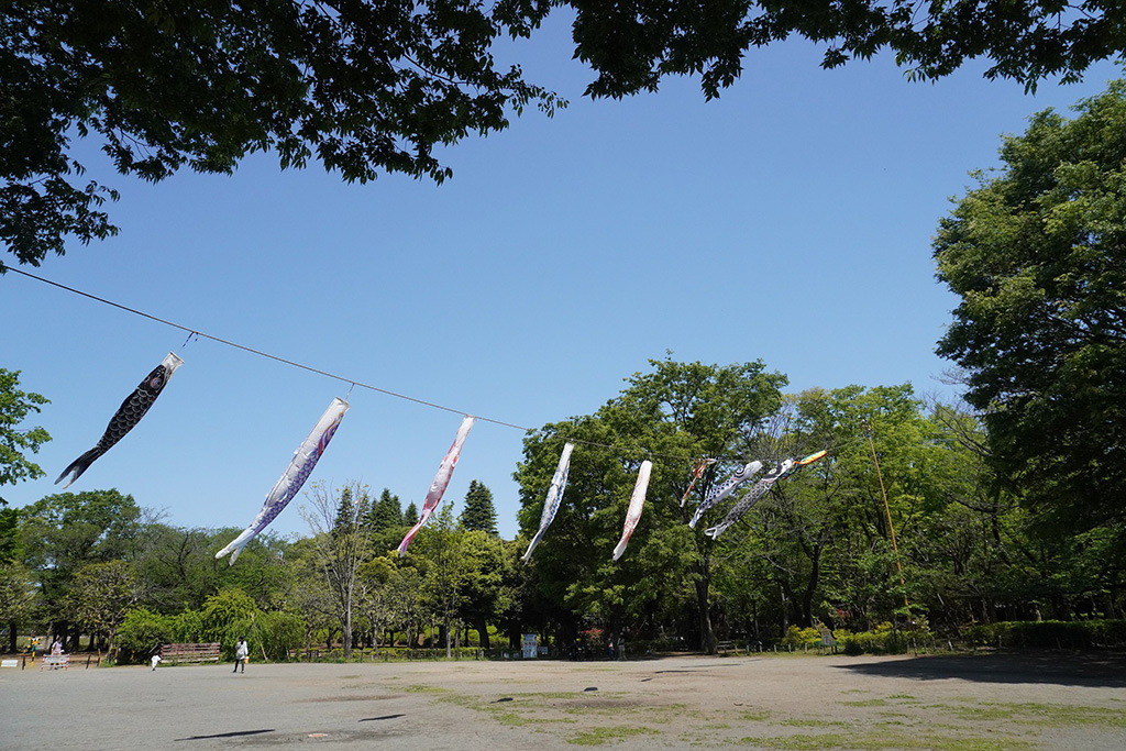 広場に飾られたこいのぼり/世田谷公園(東京都/世田谷区)