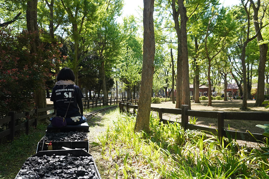 SL「ちびくろ号」の乗った様子/世田谷公園(東京都/世田谷区)