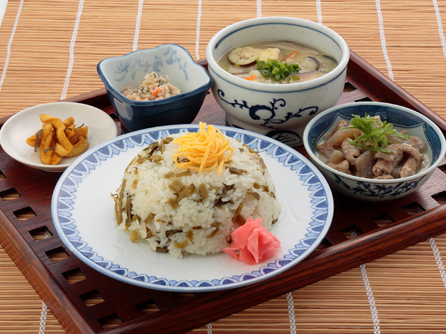 たかなめし定食/北熊本SA【上り】