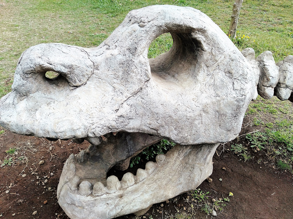 /恐竜広場(小室山公園内)(静岡県/伊東市)