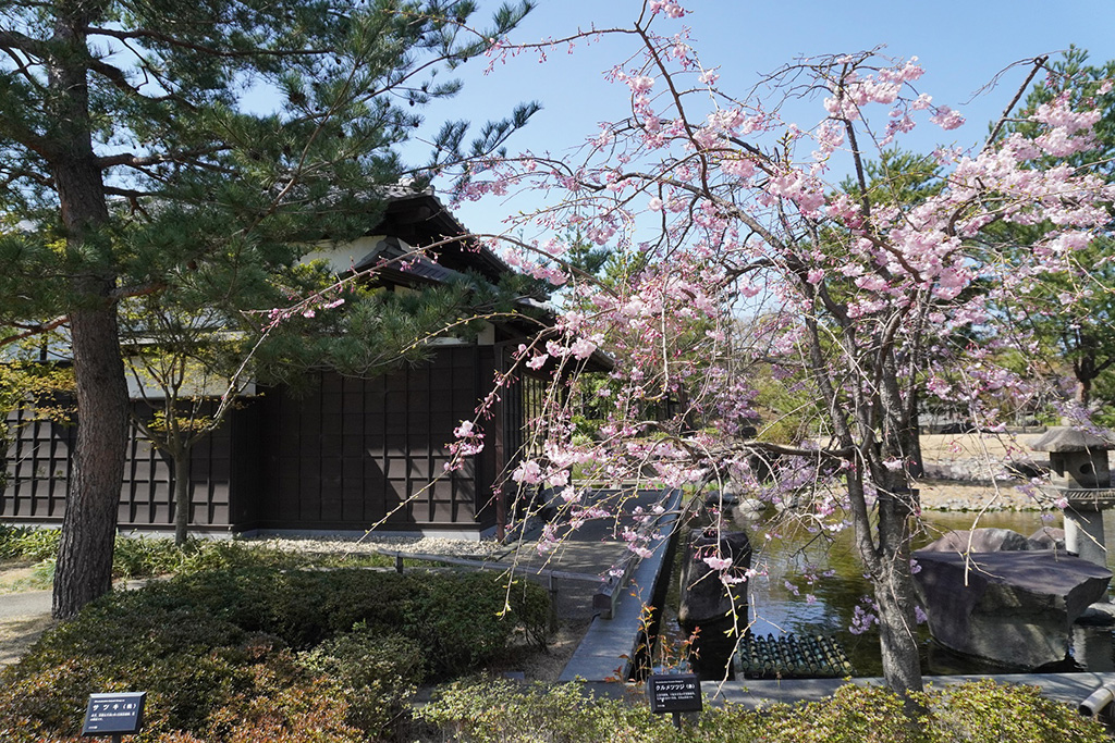 日本庭園「帰真園」/二子玉川公園(東京都/世田谷区)