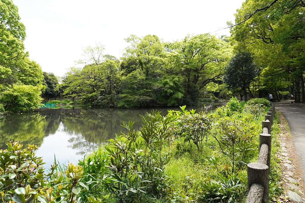 和田堀池/都立和田堀公園(東京都/杉並区)
