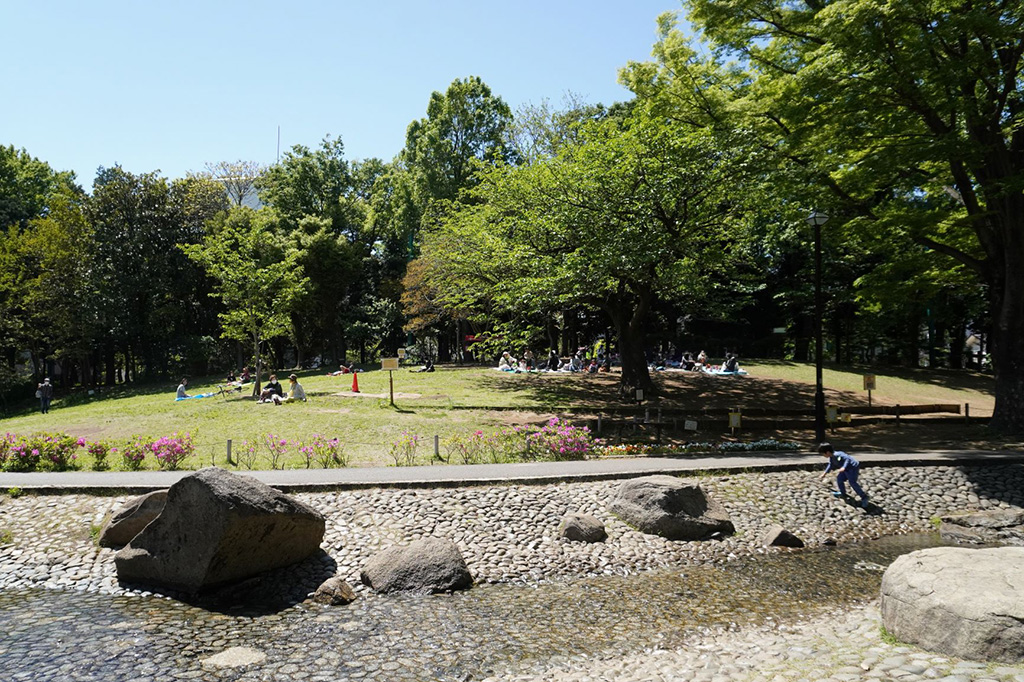 「いこいの広場」/蚕糸の森公園(東京都/杉並区)